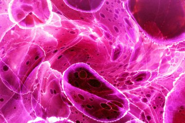 Alkol mürekkebi ve renkli soyut modern resim arka planıyla yapılmış yüksek kalite modern soyut resim..