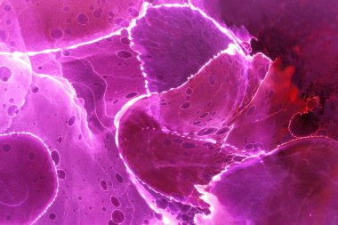 Alkol mürekkebi ve renkli soyut modern resim arka planıyla yapılmış yüksek kalite modern soyut resim..