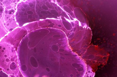 Alkol mürekkebi ve renkli soyut modern resim arka planıyla yapılmış yüksek kalite modern soyut resim..