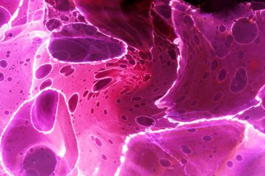 Alkol mürekkebi ve renkli soyut modern resim arka planıyla yapılmış yüksek kalite modern soyut resim..