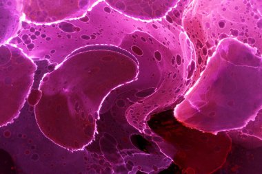 Alkol mürekkebi ve renkli soyut modern resim arka planıyla yapılmış yüksek kalite modern soyut resim..