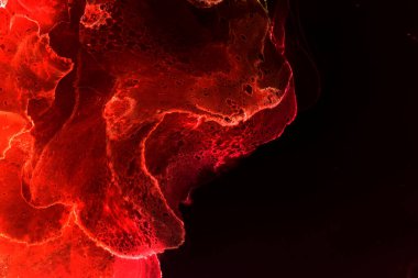 Alkol mürekkebinden yapılmış doğal akışkan sanat tablosu. Yumuşak, rüya gibi renkler. Aurora oluştur. Şeffaf dalgalı hatları ateşle.