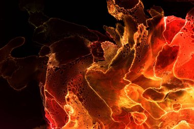 Alkol mürekkebinden yapılmış doğal akışkan sanat tablosu. Yumuşak, rüya gibi renkler. Aurora oluştur. Şeffaf dalgalı hatları ateşle.