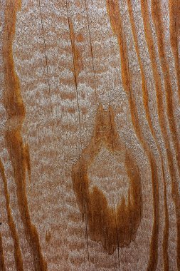 Güzel ahşap tahıl. Ahşap arka. Tahta desenli arkaplan