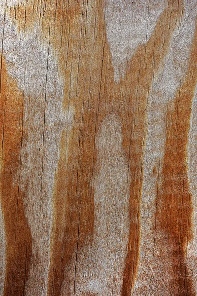 Schöne Holzmaserung Holz Hintergrund Holz Maserung Muster Textur Hintergrund — Stockfoto