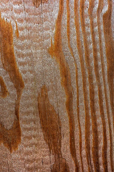 Красивое Древесное Зерно Деревянный Фон Фон Текстуры Древесного Зерна — стоковое фото