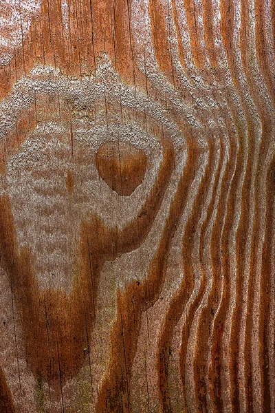 Schöne Holzmaserung Holz Hintergrund Holz Maserung Muster Textur Hintergrund — Stockfoto