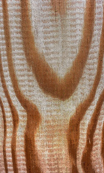 Beautiful Wood Grain Wood Background Wood Grain Pattern Texture Background — Stock Photo, Image