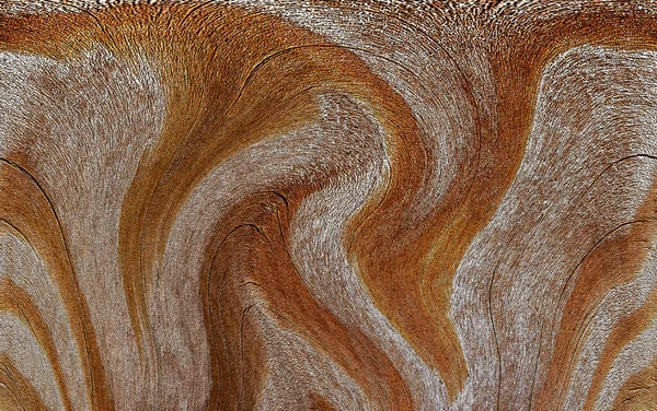 Beautiful Wood Grain Wood Background Wood Grain Pattern Texture Background — Stock Photo, Image