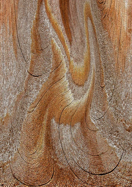 Красивое Древесное Зерно Деревянный Фон Фон Текстуры Древесного Зерна — стоковое фото