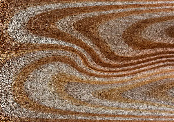 Nydelig Trekorn Trebakgrunn Bakgrunn Trekornmønster – stockfoto