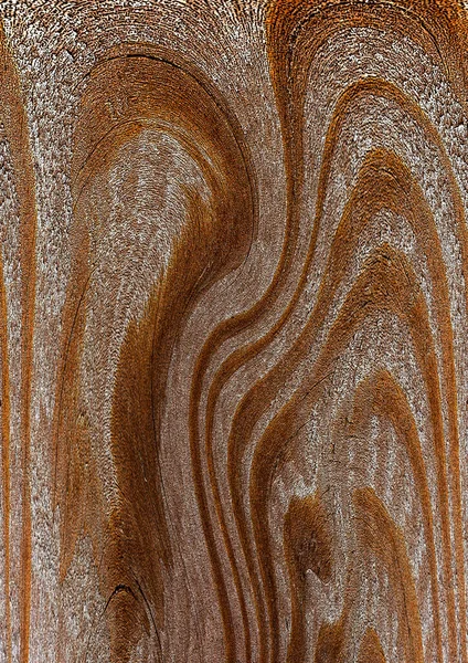 Beautiful Wood Grain Wood Background Wood Grain Pattern Texture Background — Stock Photo, Image