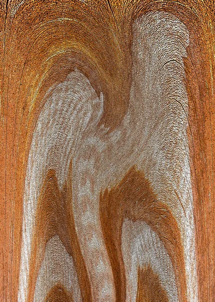 아름다운 나뭇결입니다 나뭇결의 — 스톡 사진