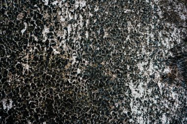 Lekeli yıpranmış bir duvar