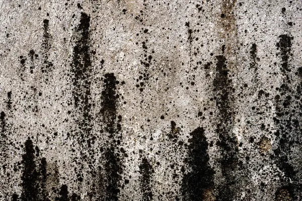 Weathered Wall Stains — Stock Photo, Image