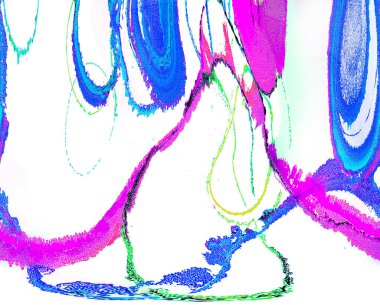 Modern soyut resim. Renkli akıcı sanat resimleri. Geometrik arkaplan.