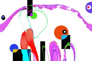 Modern soyut resim. Renkli akıcı sanat resimleri. Geometrik arkaplan.