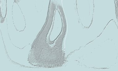 Yaratıcı desenli taş seramik duvar kağıdı tasarımı.