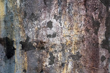 Yeşil yosun desenli eski gri taş duvar