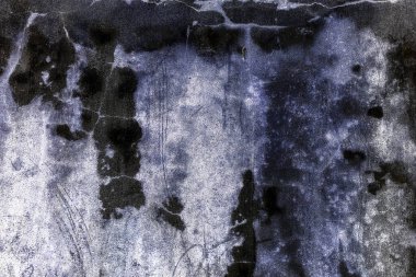 Yeşil yosun desenli eski gri taş duvar