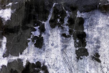 Yeşil yosun desenli eski gri taş duvar