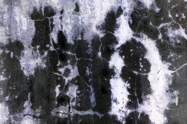 Yeşil yosun desenli eski gri taş duvar