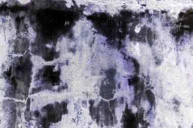 Yeşil yosun desenli eski gri taş duvar