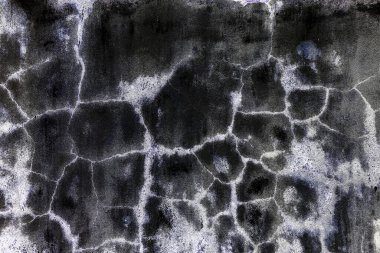 Yeşil yosun desenli eski gri taş duvar