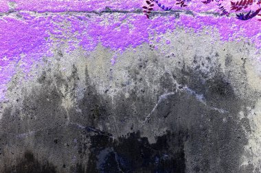 Yeşil yosun desenli eski gri taş duvar