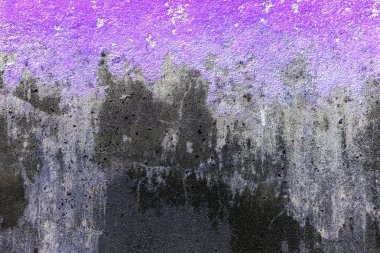 Yeşil yosun desenli eski gri taş duvar