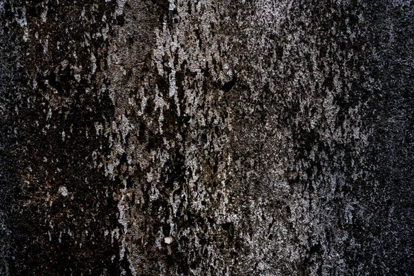 Старая Серая Каменная Стена Зеленым Фоном Моха — стоковое фото