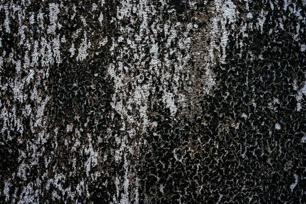 Antiguo Muro Piedra Gris Con Fondo Textura Musgo Verde —  Fotos de Stock