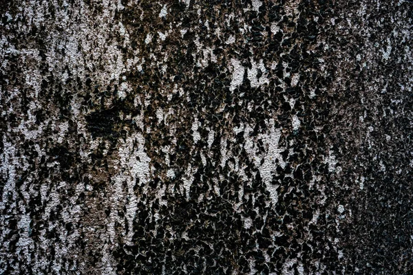 Parede Pedra Cinza Velha Com Fundo Textura Musgo Verde — Fotografia de Stock