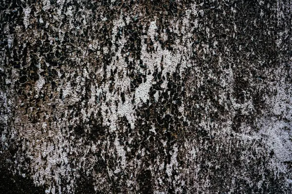 Parede Pedra Cinza Velha Com Fundo Textura Musgo Verde — Fotografia de Stock