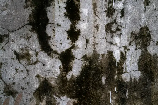 Stary Szary Kamienny Mur Zielonym Mchem Tekstury Tła — Zdjęcie stockowe