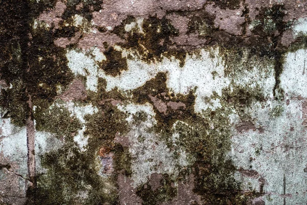 Oude Grijze Stenen Muur Met Groene Mos Textuur Achtergrond — Stockfoto