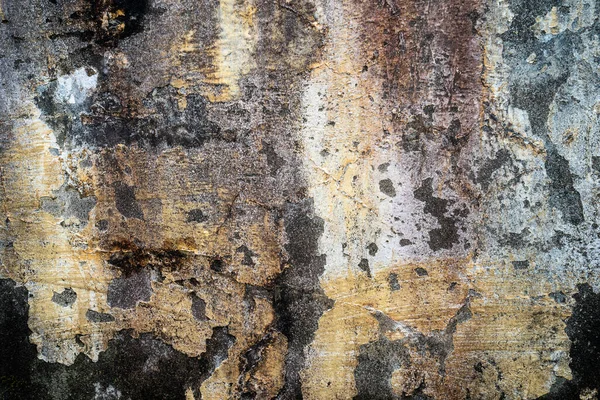 Παλιός Γκρίζος Πέτρινος Τοίχος Φόντο Πράσινο Βρύο — Φωτογραφία Αρχείου