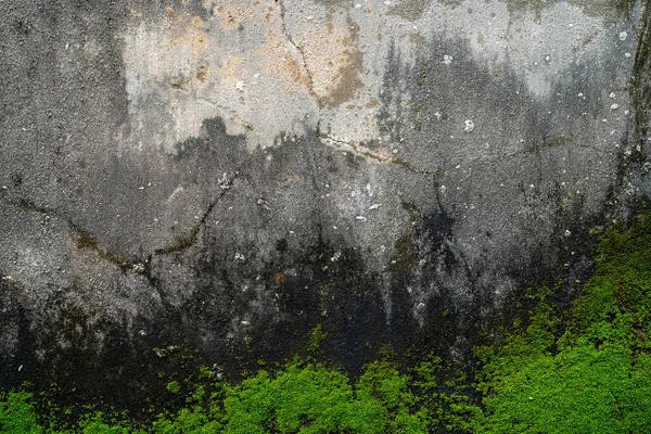 Vieux Mur Pierre Grise Avec Fond Texture Mousse Verte Photos De Stock Libres De Droits