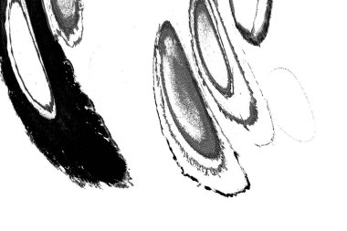 Yüksek kalite monokrom soyut resim. Tasarımcılar için modern sanat arka planı