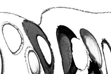 Yüksek kalite monokrom soyut resim. Tasarımcılar için modern sanat arka planı