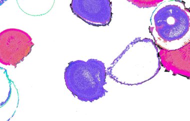 Alkol mürekkebinden yapılmış yüksek kaliteli akış sanatı. Tasarımcılar için modern soyut arka plan. 3B desen