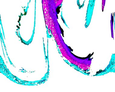 Alkol mürekkebinden yapılmış yüksek kaliteli akış sanatı. Tasarımcılar için modern soyut arka plan. 3B desen