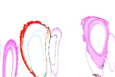 Alkol mürekkebinden yapılmış yüksek kaliteli akış sanatı. Tasarımcılar için modern soyut arka plan. 3B desen