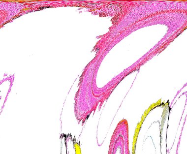 Alkol mürekkebinden yapılmış yüksek kaliteli akış sanatı. Tasarımcılar için modern soyut arka plan. 3B desen