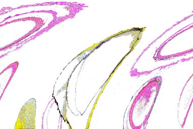 Alkol mürekkebinden yapılmış yüksek kaliteli akış sanatı. Tasarımcılar için modern soyut arka plan. 3B desen