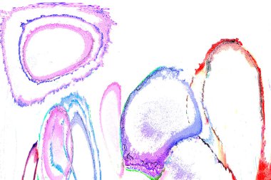 Alkol mürekkebinden yapılmış yüksek kaliteli akış sanatı. Tasarımcılar için modern soyut arka plan. 3B desen