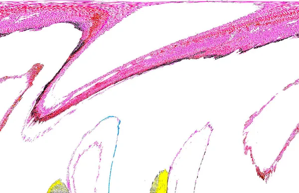 Alkol mürekkebinden yapılmış yüksek kaliteli akış sanatı. Tasarımcılar için modern soyut arka plan. 3B desen