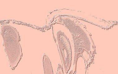 Beyaz, Kırmızı Kahverengi. Açık sarı. Hafif Cyan. Gri. Döşeme dokusu Soyut 3B Arkaplan Deseni