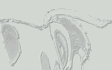 Beyaz, Kırmızı Kahverengi. Açık sarı. Hafif Cyan. Gri. Döşeme dokusu Soyut 3B Arkaplan Deseni