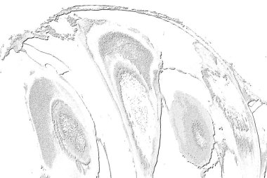 Beyaz, Kırmızı Kahverengi. Açık sarı. Hafif Cyan. Gri. Döşeme dokusu Soyut 3B Arkaplan Deseni